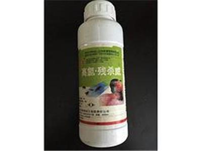 喜旺科技白蟻防治站-具有口碑的白蟻專業(yè)用藥服務(wù)提供商:怎樣消滅白蟻